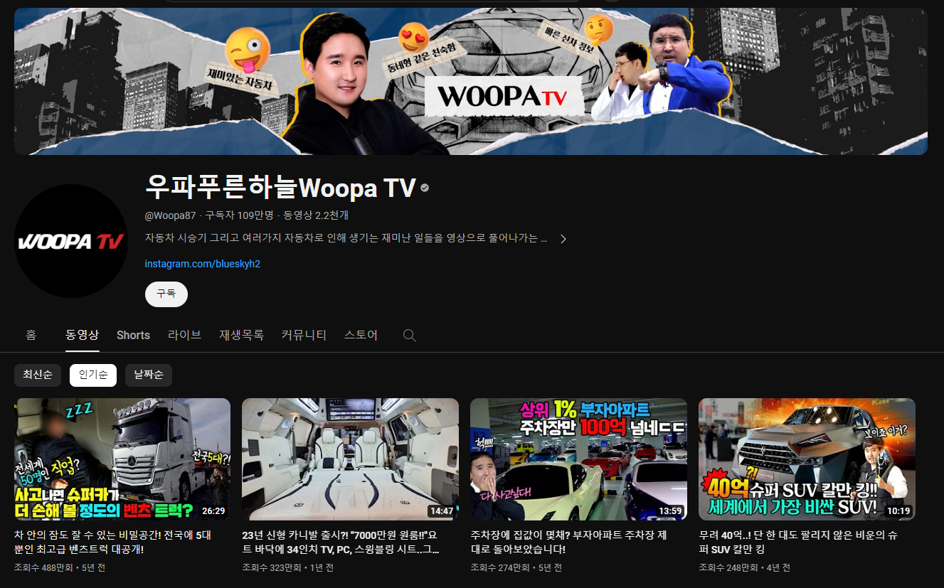 자동차 유튜버 추천, 전문 자동차 리뷰 유튜버 우파푸른하늘 Woopa TV 유튜브 채널